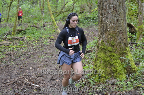 Trail _Chamerolles2026/CHM2026_5495.JPG